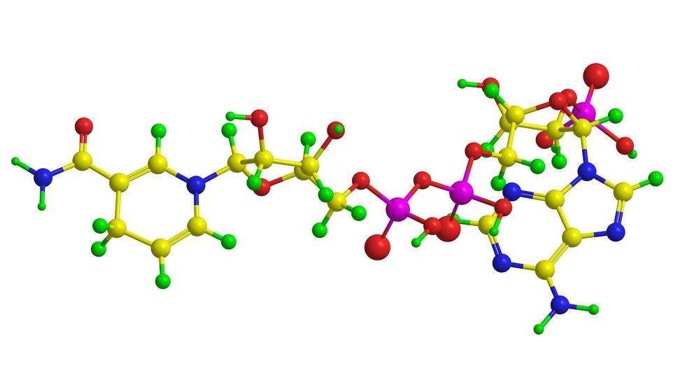 Bioavailability Comparison: Liposomal vs. Standard Supplements